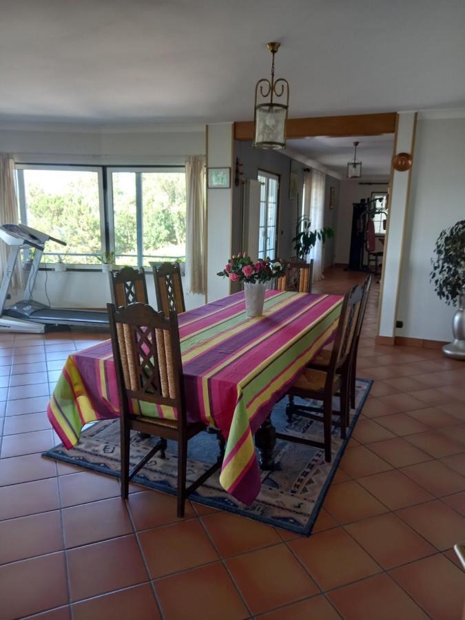 Casa Da Bela Vista Villa Viana do Castelo Eksteriør billede