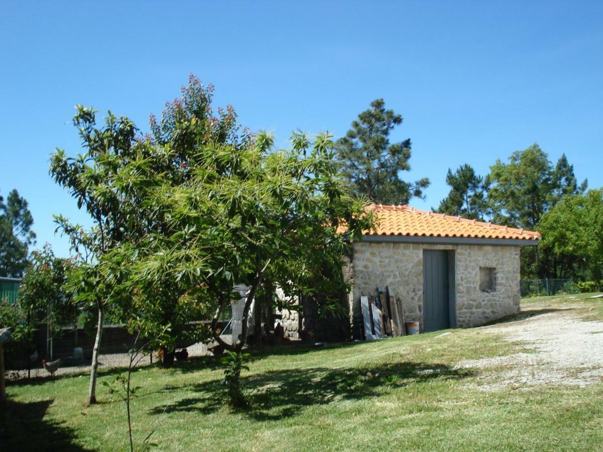 Casa Da Bela Vista Villa Viana do Castelo Eksteriør billede