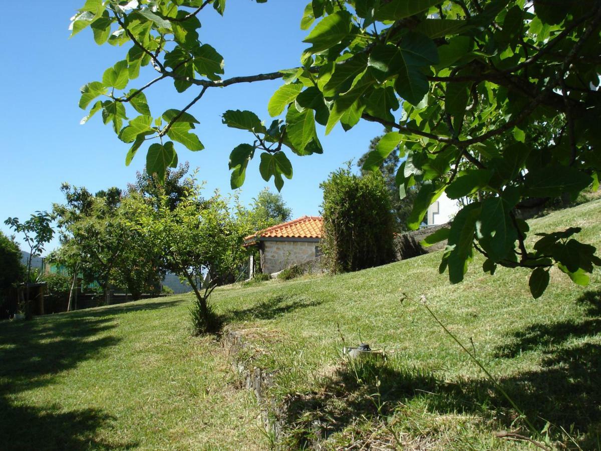 Casa Da Bela Vista Villa Viana do Castelo Eksteriør billede